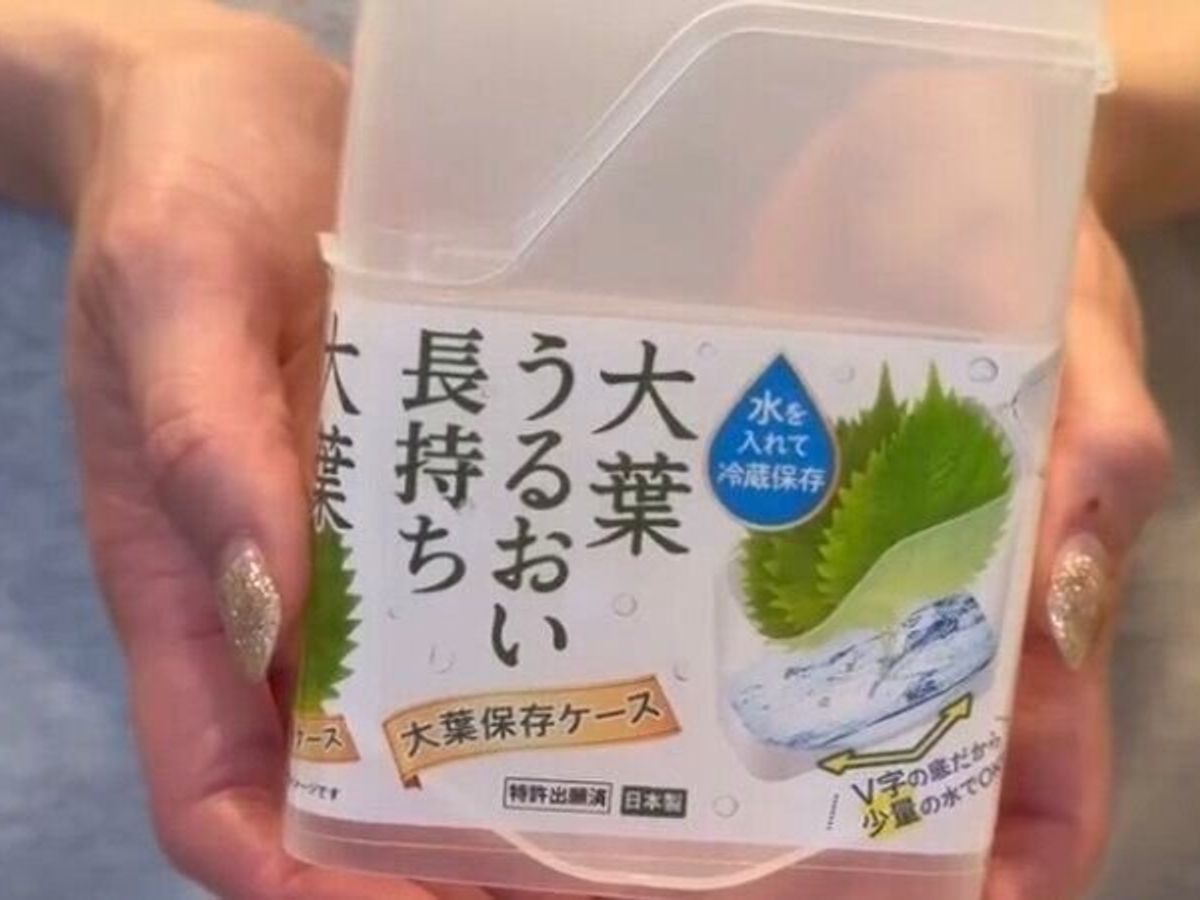 大葉保存ケース