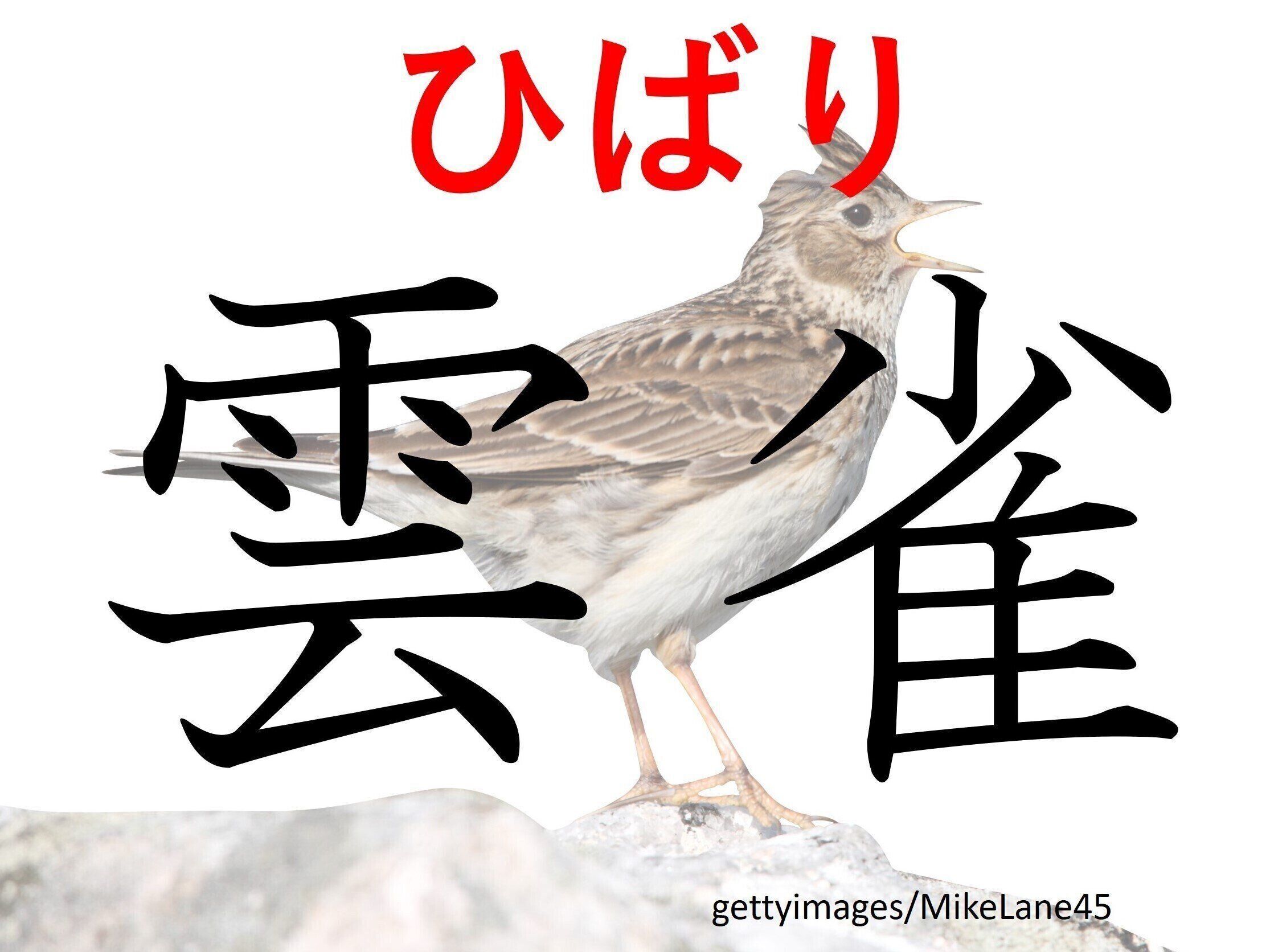 たくさんの魅力がある愛されやさん！難読漢字「雲雀」はなんて読む？