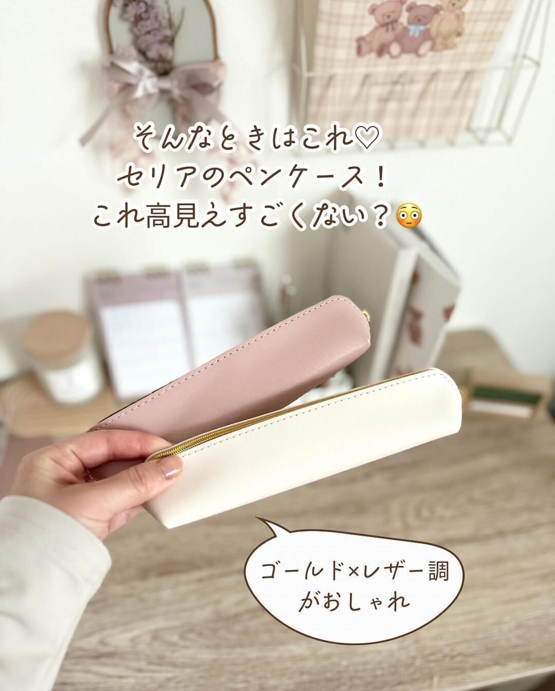 【セリア】高見えすごい！コンパクトなペンケース