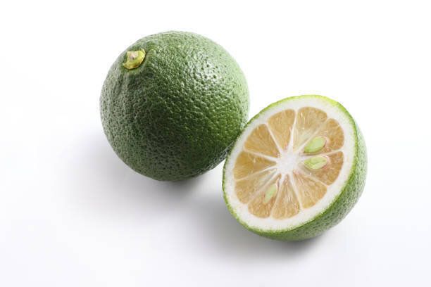 白い背景のアジアのカボス