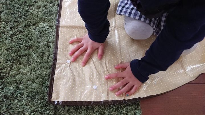 ダイソーの 園芸シート はお家の中で使うのがじつは正解だった サンキュ ダイソーの 園芸シート はお家の中で使うのがじつは正解だった サンキュ