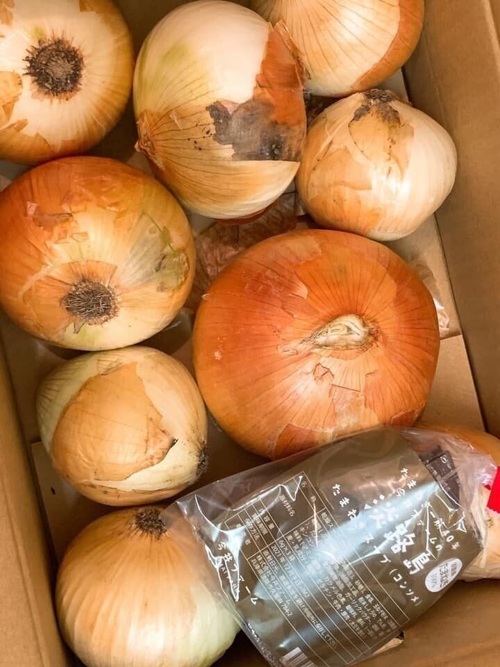 たまねぎ