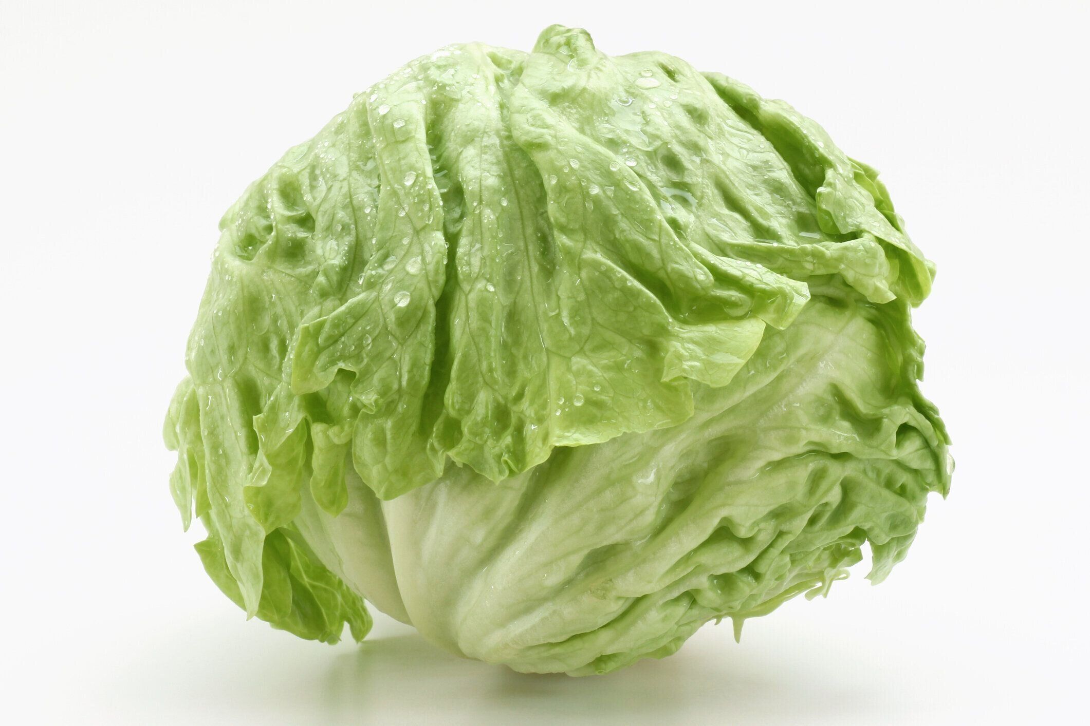 白い背景にレタス