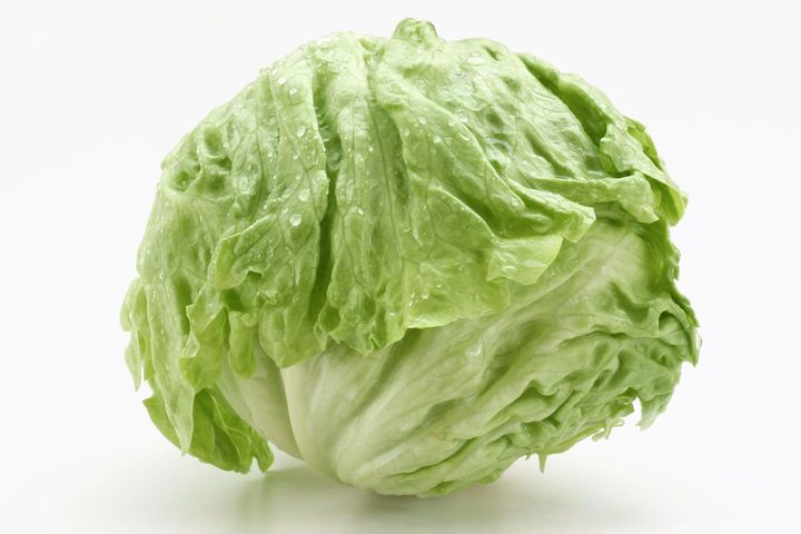 白い背景にレタス