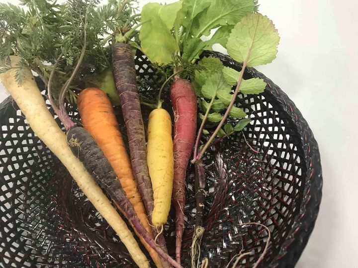 野菜ソムリエのレシピ 人参丸ごと1本 子どもが喜ぶ炊き込みご飯 サンキュ 野菜ソムリエのレシピ 人参丸ごと1本 子どもが喜ぶ炊き込みご飯 サンキュ