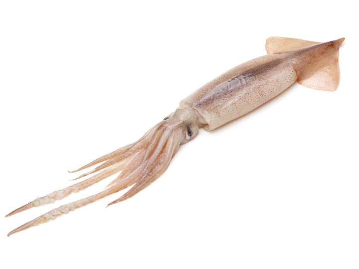 管理栄養士監修 イカ の主な栄養素とカロリーまとめ おすすめな調理方法は サンキュ 管理栄養士監修 イカ の主な栄養素とカロリーまとめ おすすめな調理方法は サンキュ