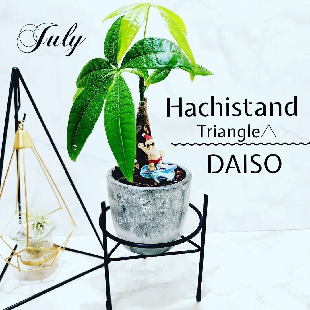 【ダイソー】買ってよかった！丸と三角のかわいいスタンド