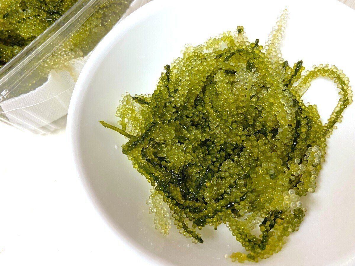 別名グリーンキャビア