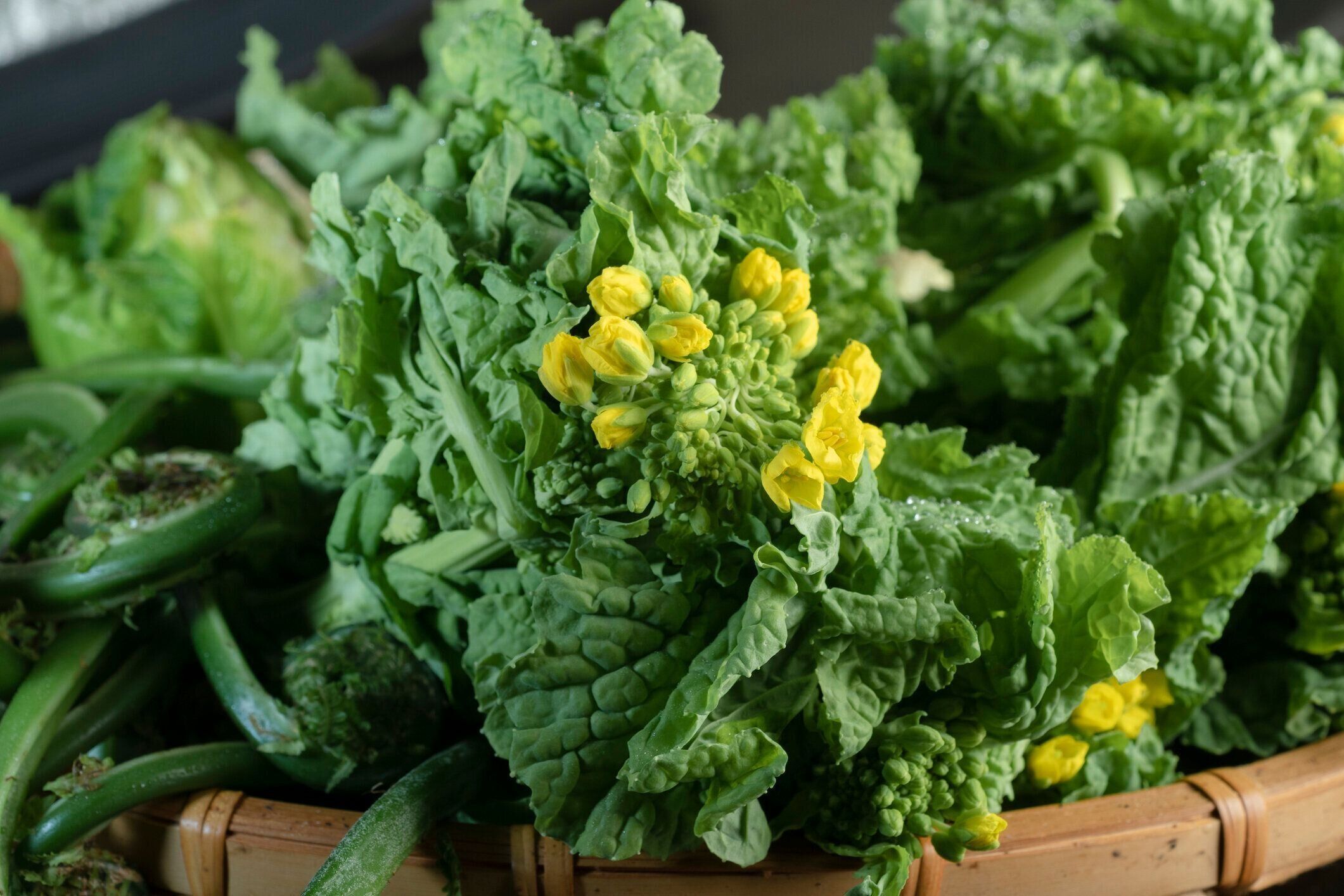 かごに入った菜の花