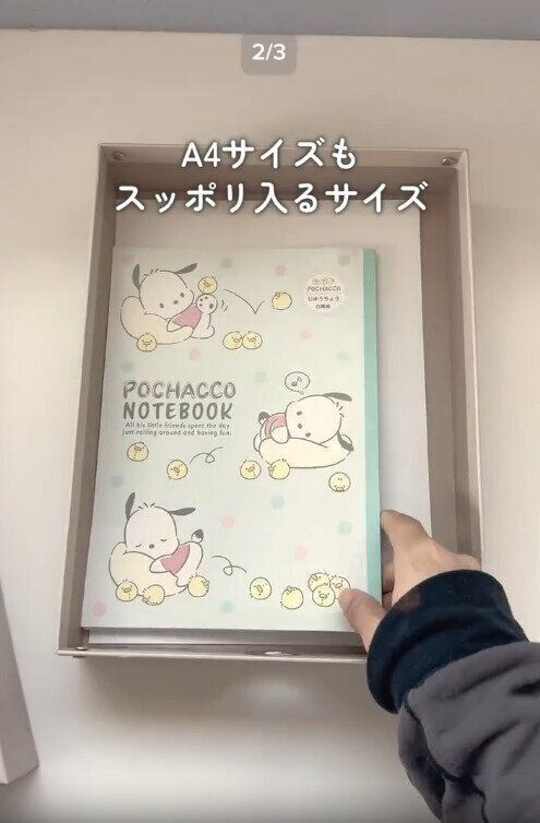 【3COINS】A4サイズもすっぽり入る大きさ