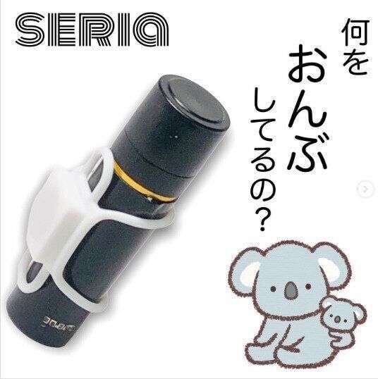 【セリア】玄関ドアにペタッ！