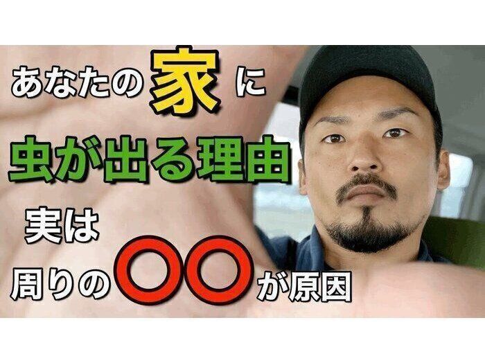 あなたの家に虫が出る理由