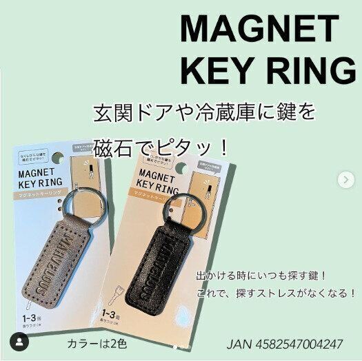 【キャンドゥ】キーリングもさらに進化！マグネット付きであちこちにピタッ！