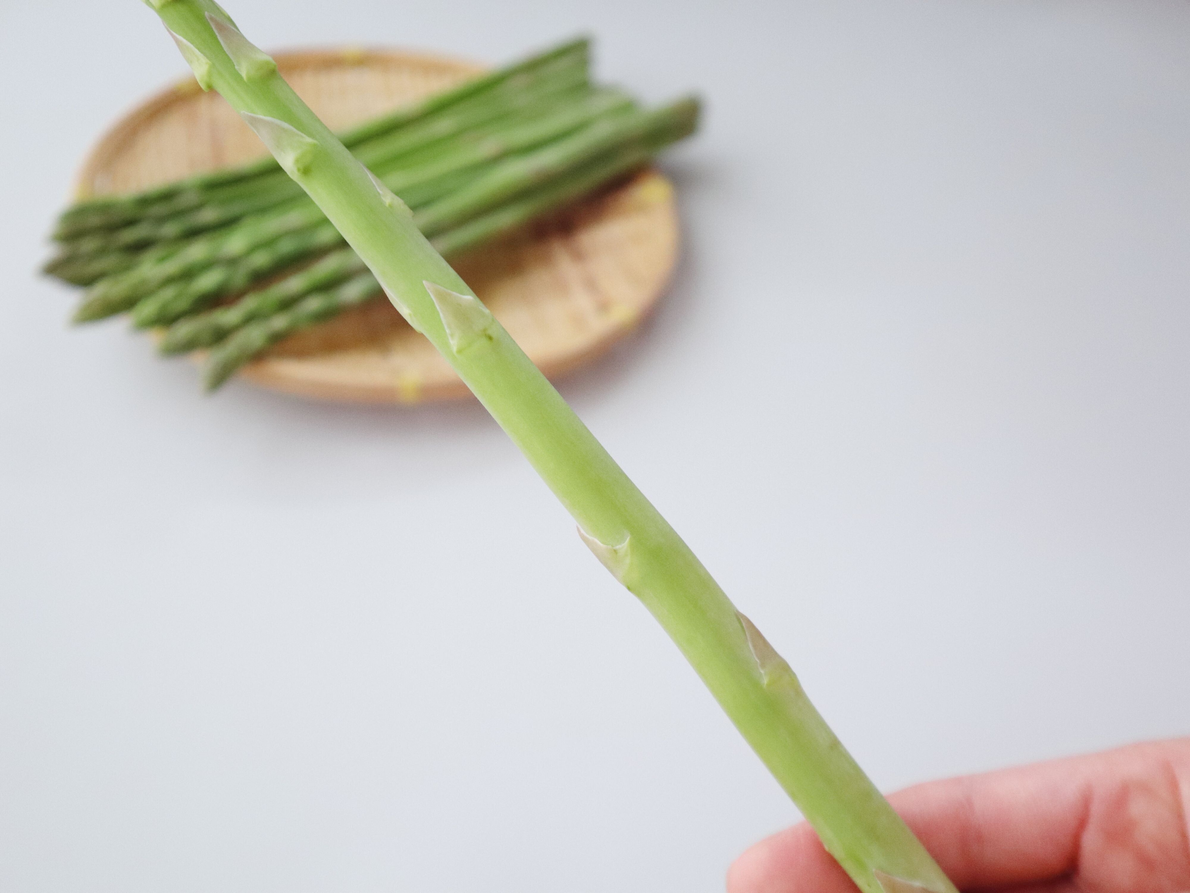 ハカマがぴったりついている