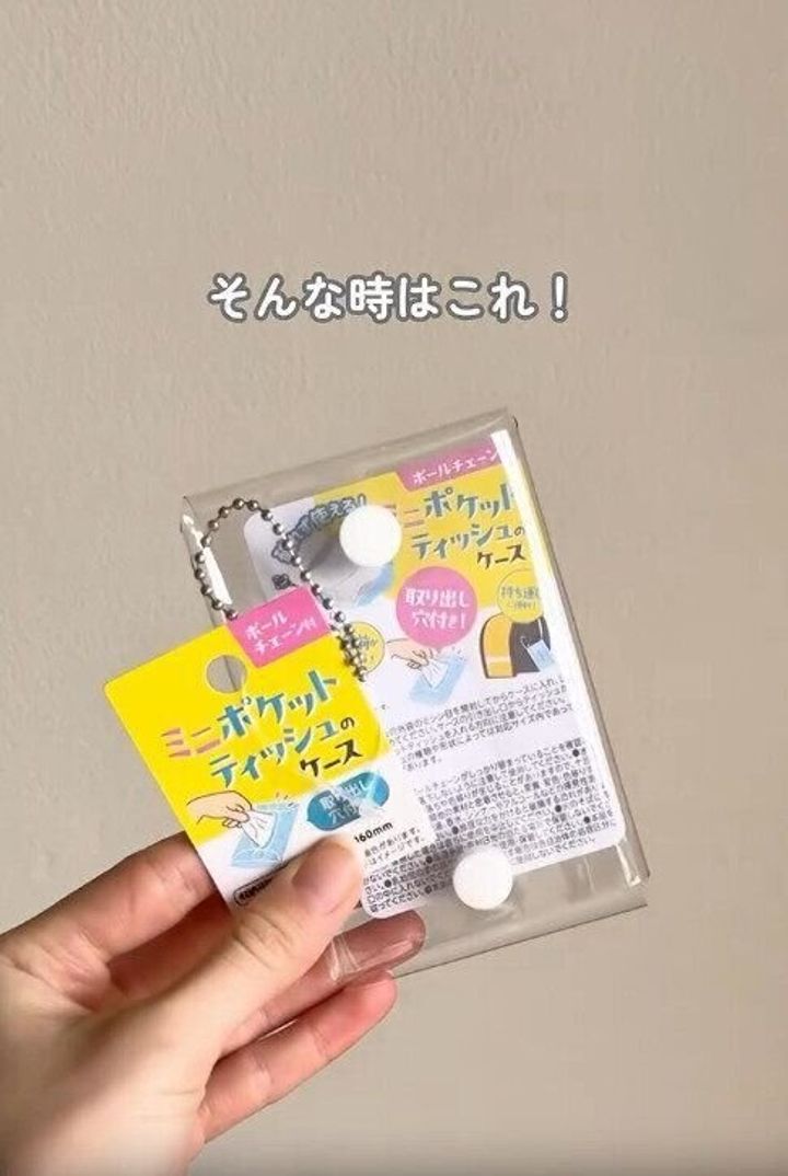 【セリア】これで100円は神すぎる!話題のティッシュケース