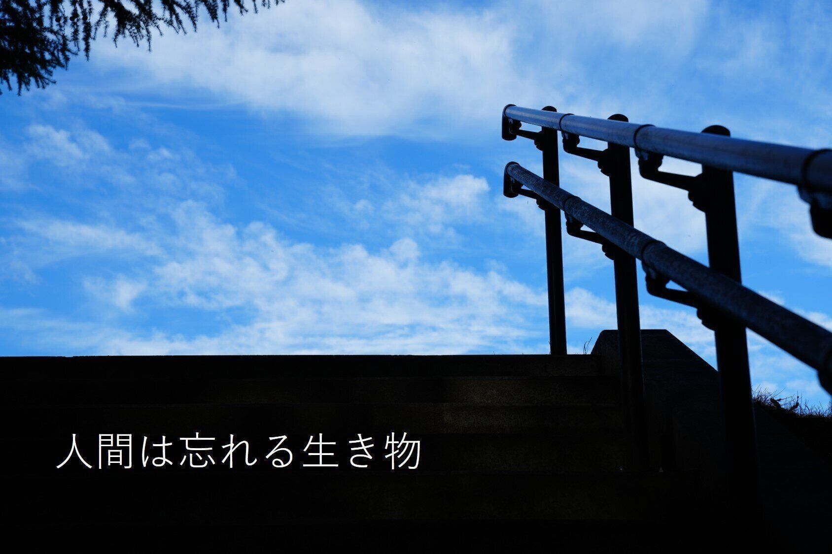 人間は忘れる生き物