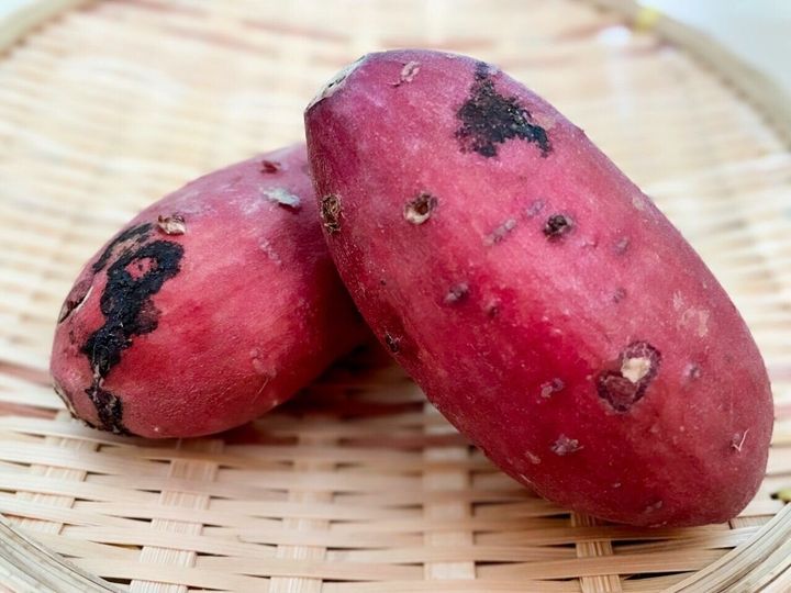 野菜のプロが教える 甘いさつまいもには がついている サンキュ 野菜のプロが教える 甘いさつまいもには がついている サンキュ