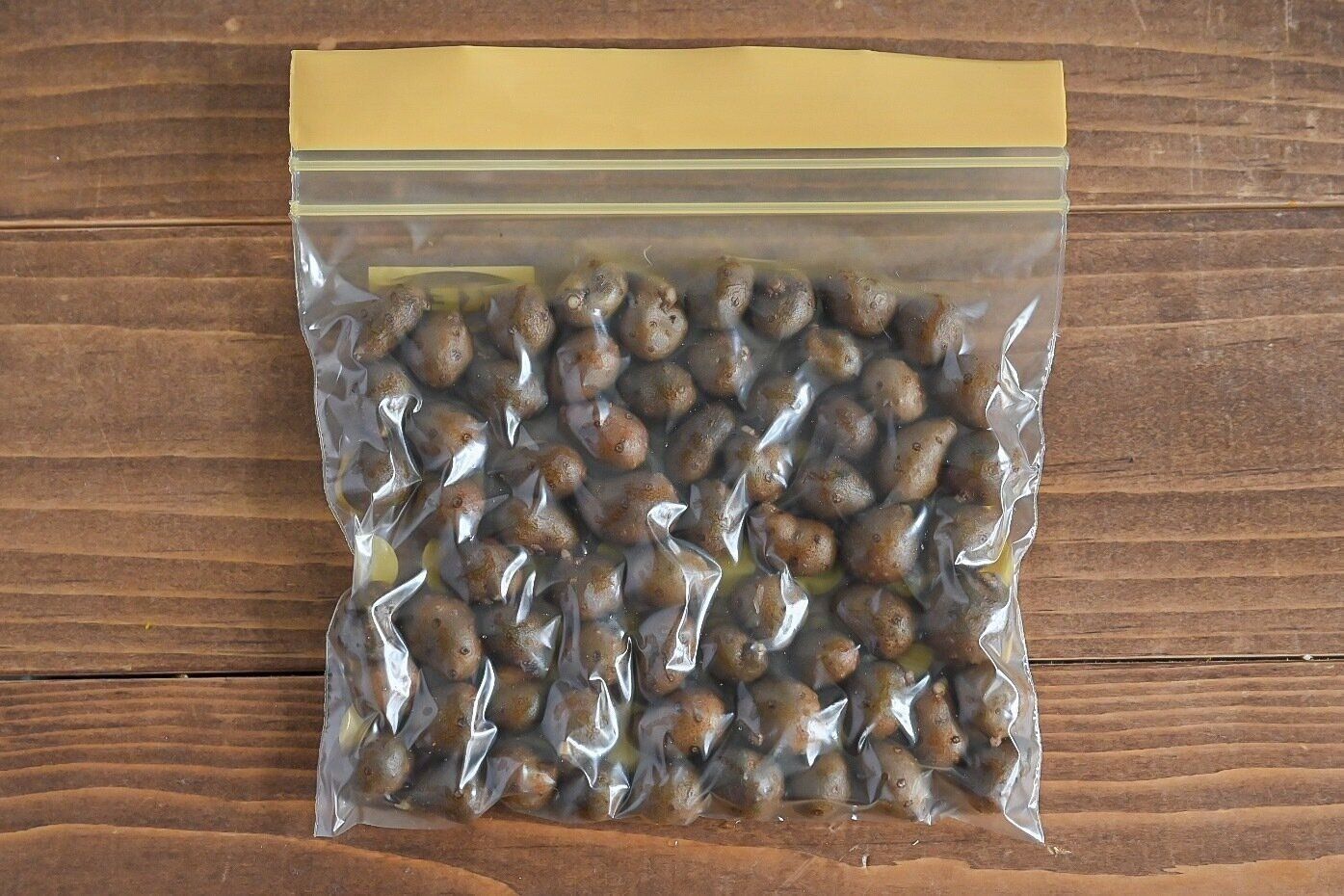 保存袋に入ったむかご