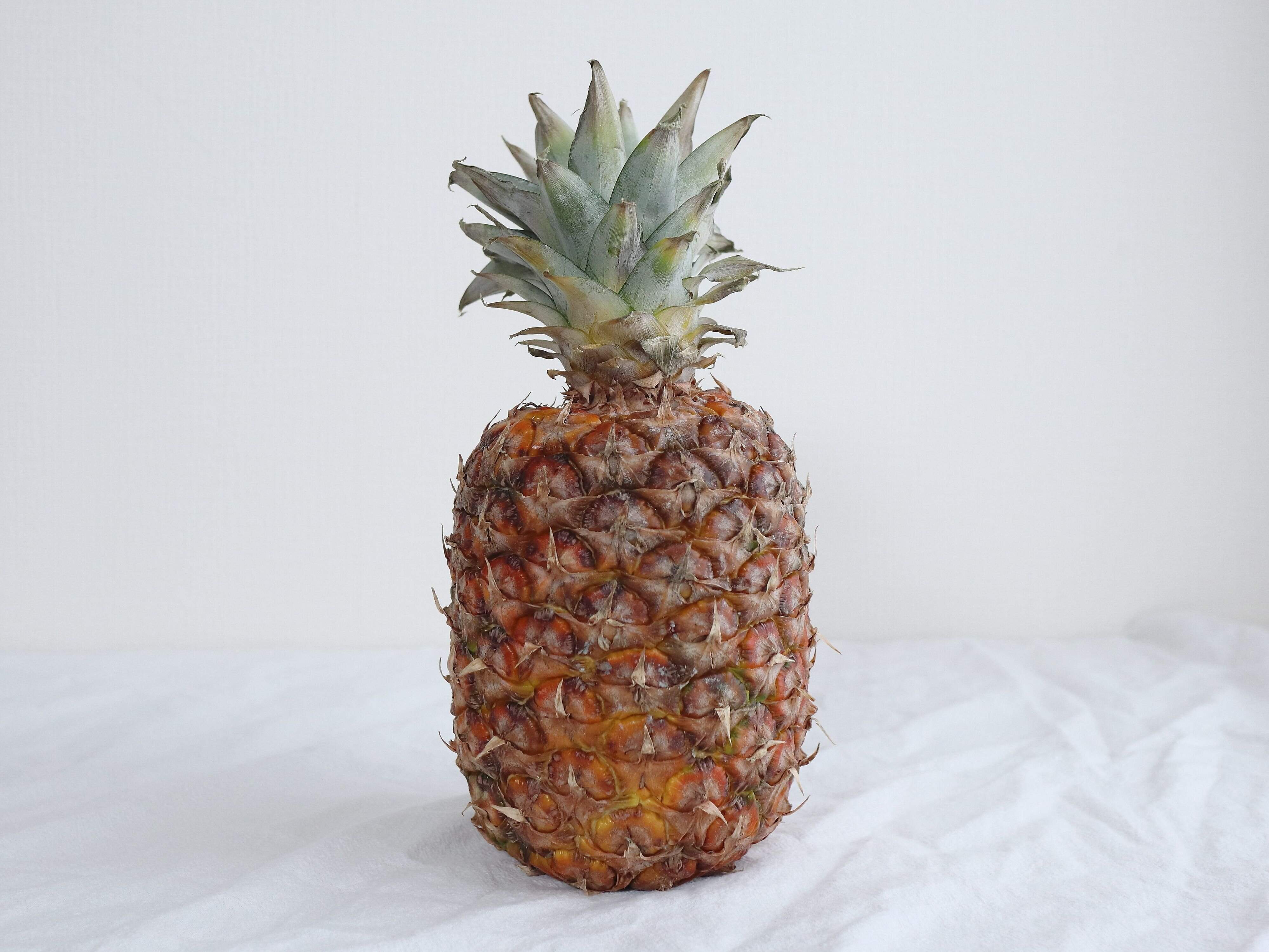 ふっくらしている