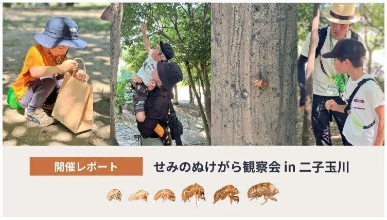 Topic3.【開催レポート】インセクトマーケットワークショップ「せみのぬけがら観察会」