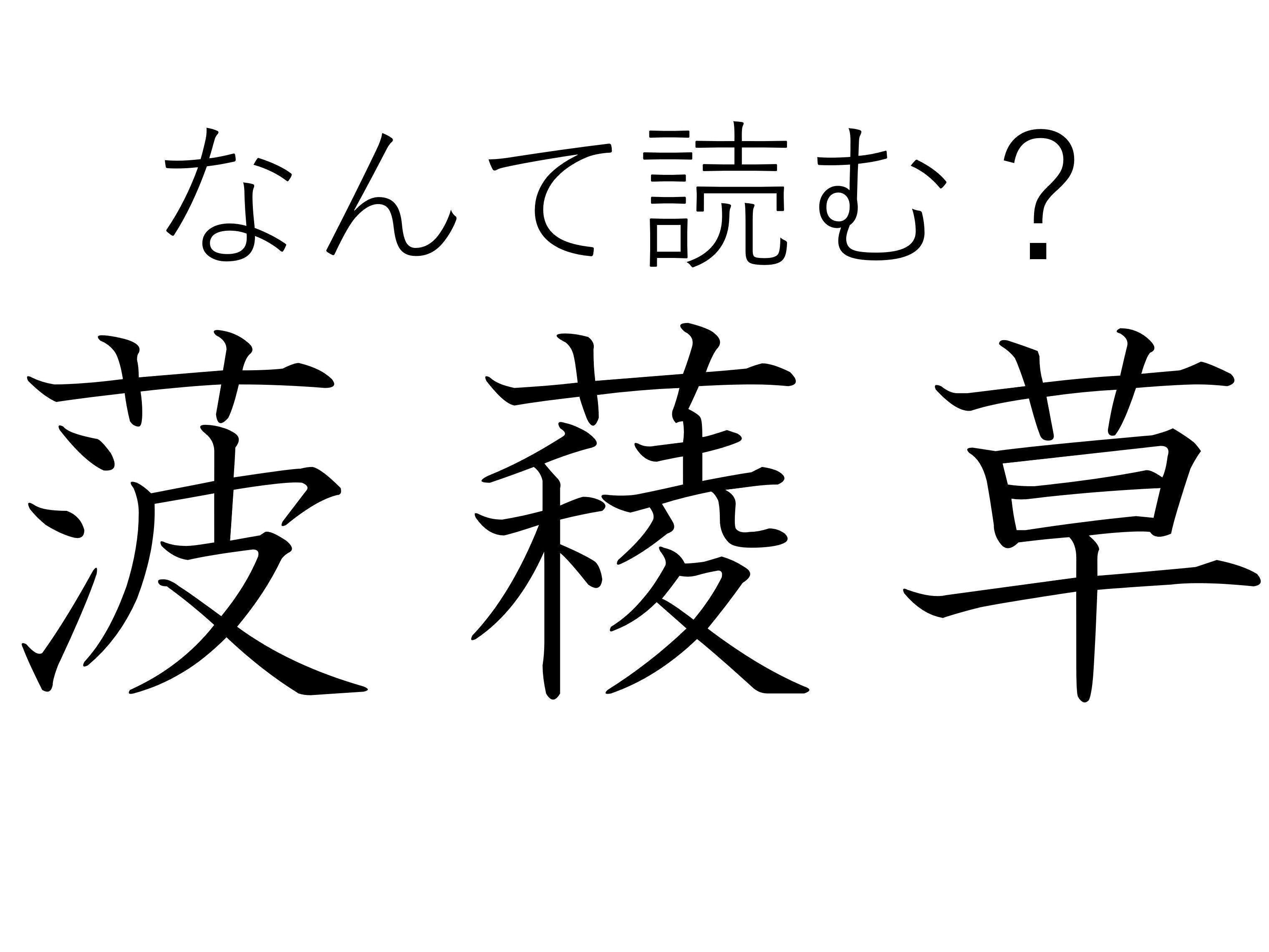 西からはるばるやってきた！難読漢字「菠薐草」はなんて読む？