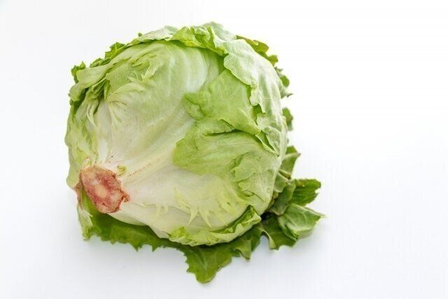 レタス