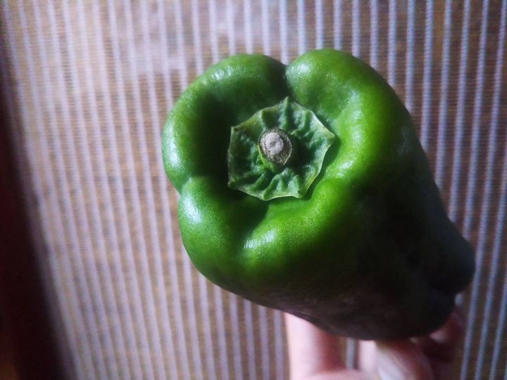 野菜漢字クイズ 青椒 と書くのは どんな野菜 サンキュ 野菜漢字クイズ 青椒 と書くのは どんな野菜 サンキュ