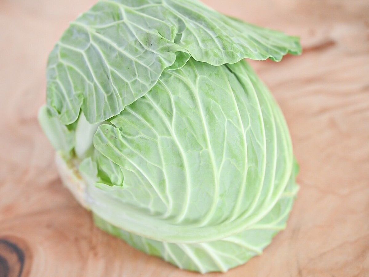 キャベツ