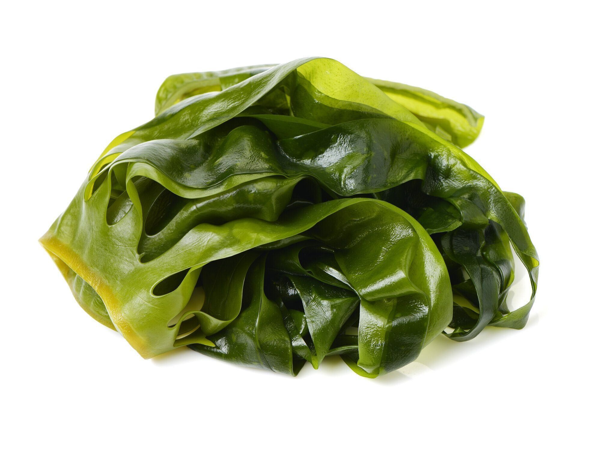 ワカメは、白い背景で隔離