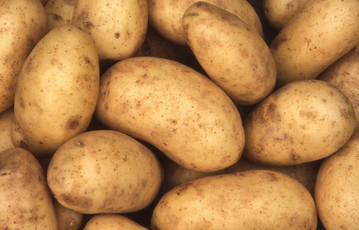 野菜のプロ監修 じゃがいも の保存方法は 正しい方法を知りおいしく使いきろう サンキュ 野菜のプロ監修 じゃがいも の保存方法は 正しい方法を知りおいしく使いきろう サンキュ