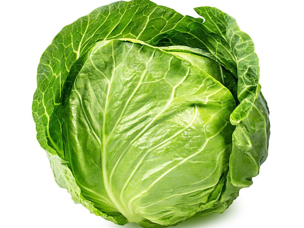 白に分離された緑のキャベツ