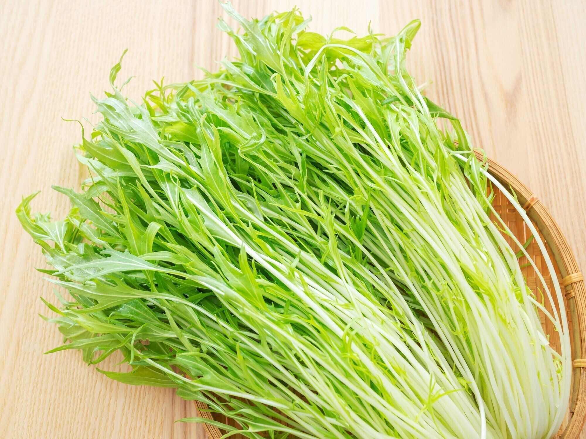 水菜,日本マスタードグリーン