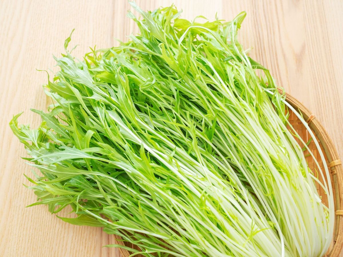 水菜,日本マスタードグリーン