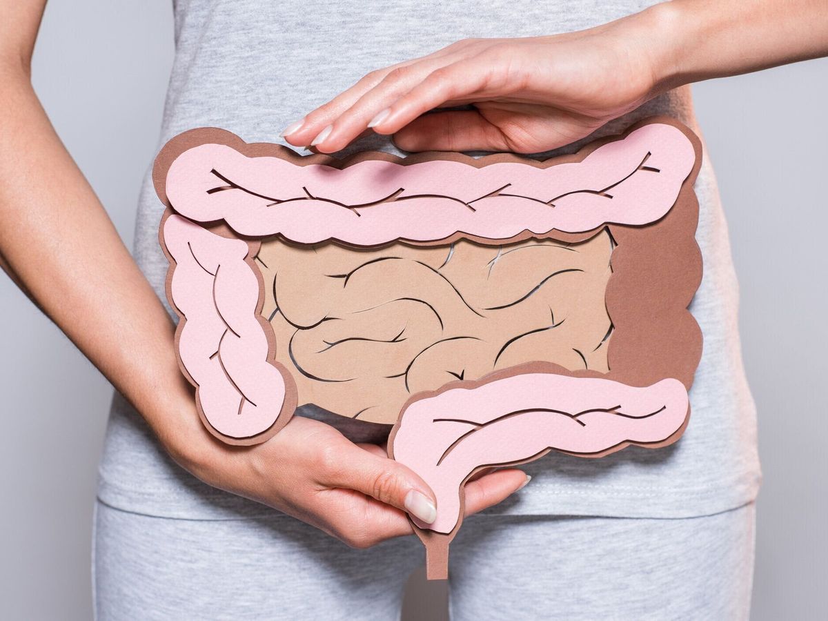 紙を保持している女性の部分的なビューは、灰色の背景の大腸