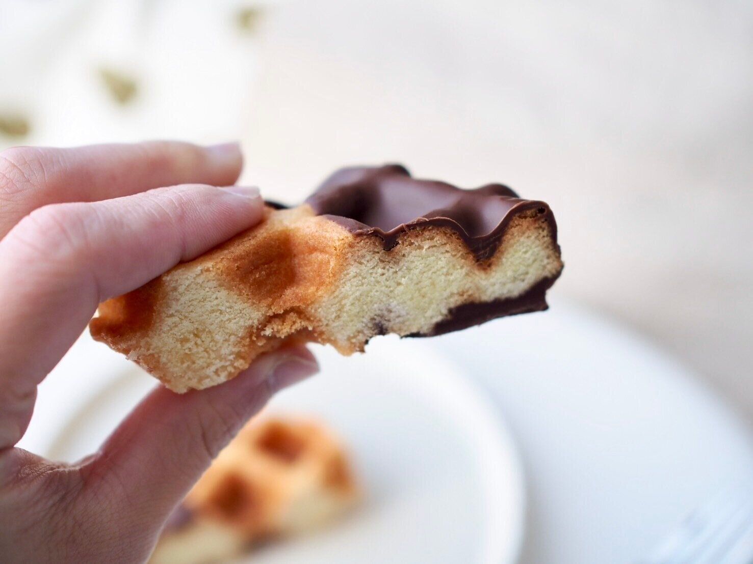 シャトレーゼ「ビスキュイワッフル　スイート」断面写真