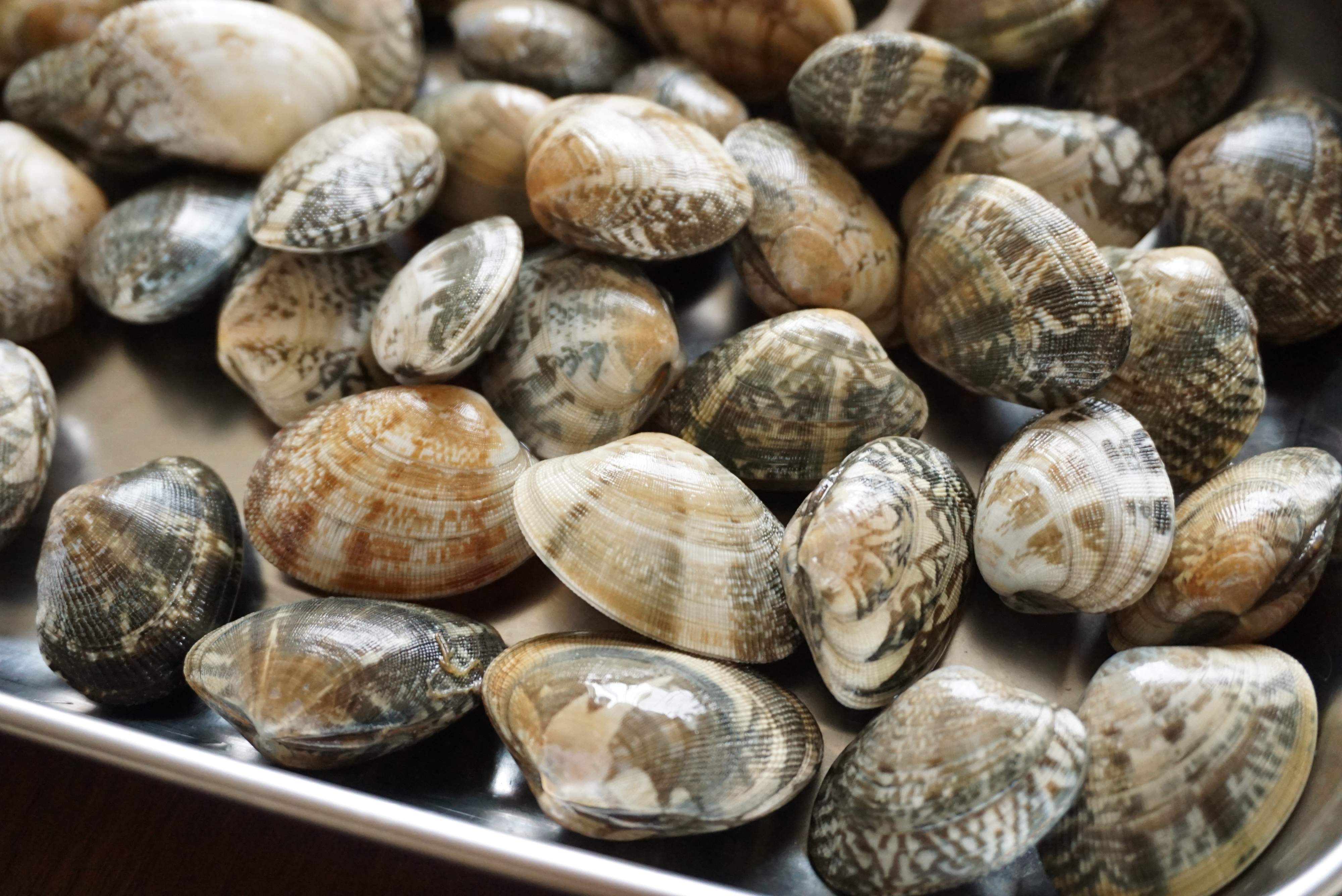 プロが教える あさりの砂抜き 保存テク 簡単レシピも併せて紹介 サンキュ