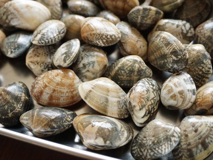 プロが教える あさりの砂抜き 保存テク 簡単レシピも併せて紹介 サンキュ プロが教える あさりの砂抜き 保存テク 簡単レシピも併せて紹介 サンキュ