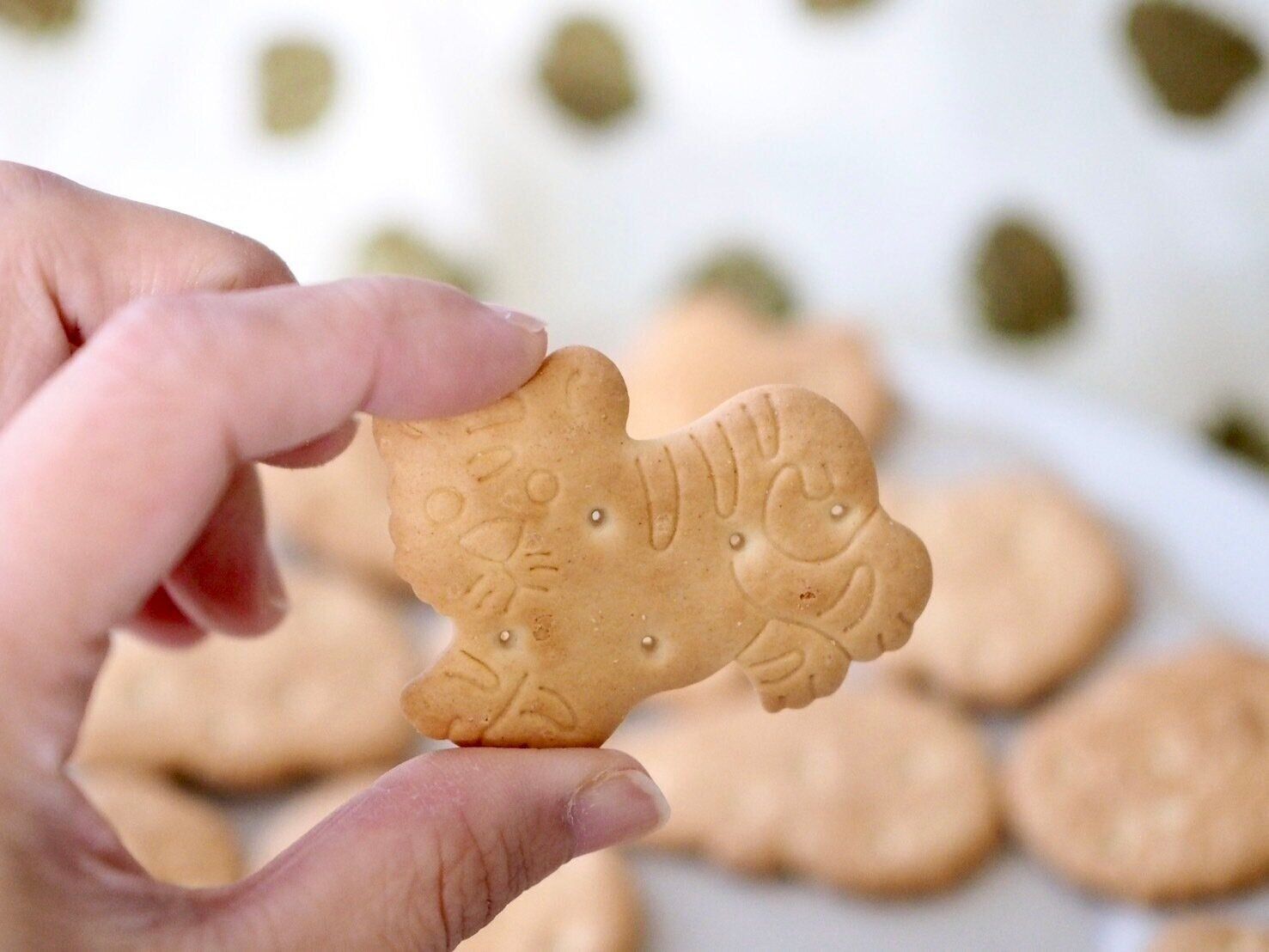 業務スーパー「どうぶつビスケット」商品写真