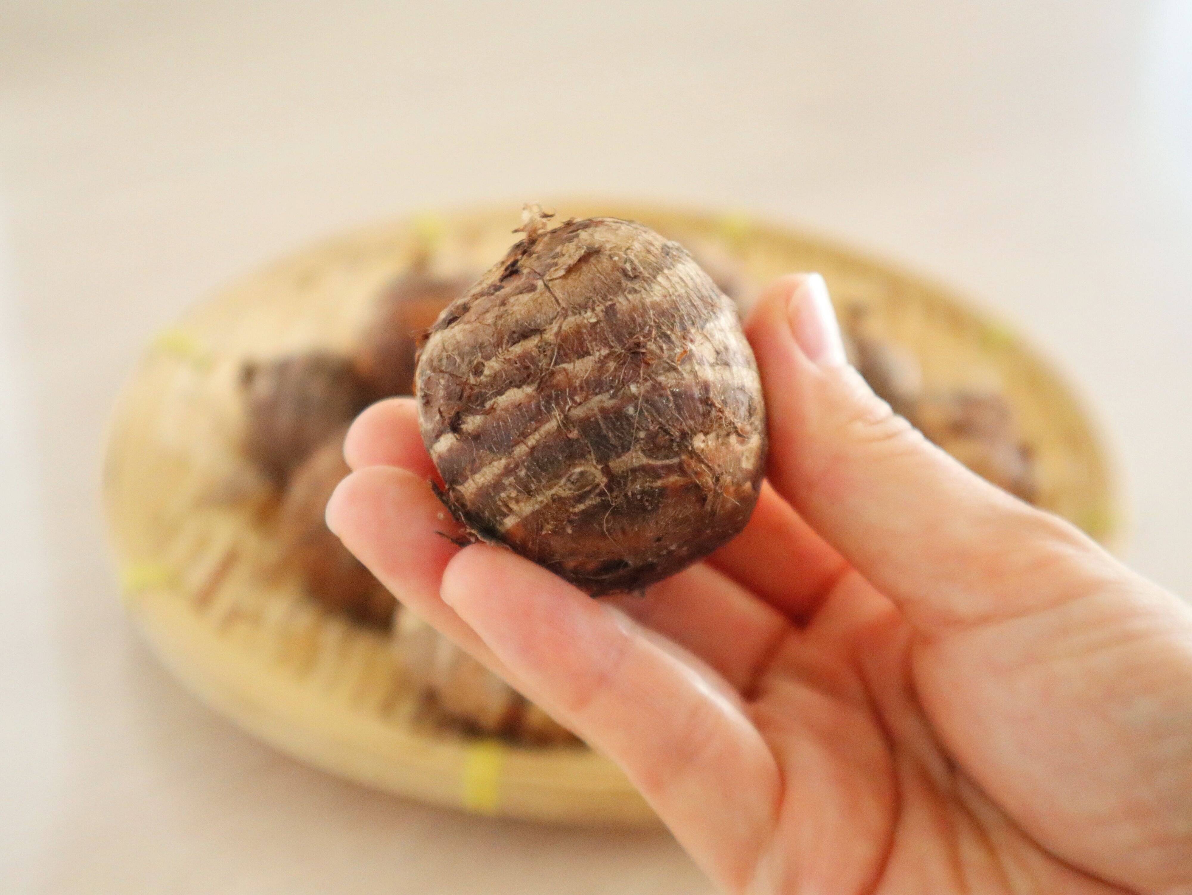 縞模様が並行ではっきりしている