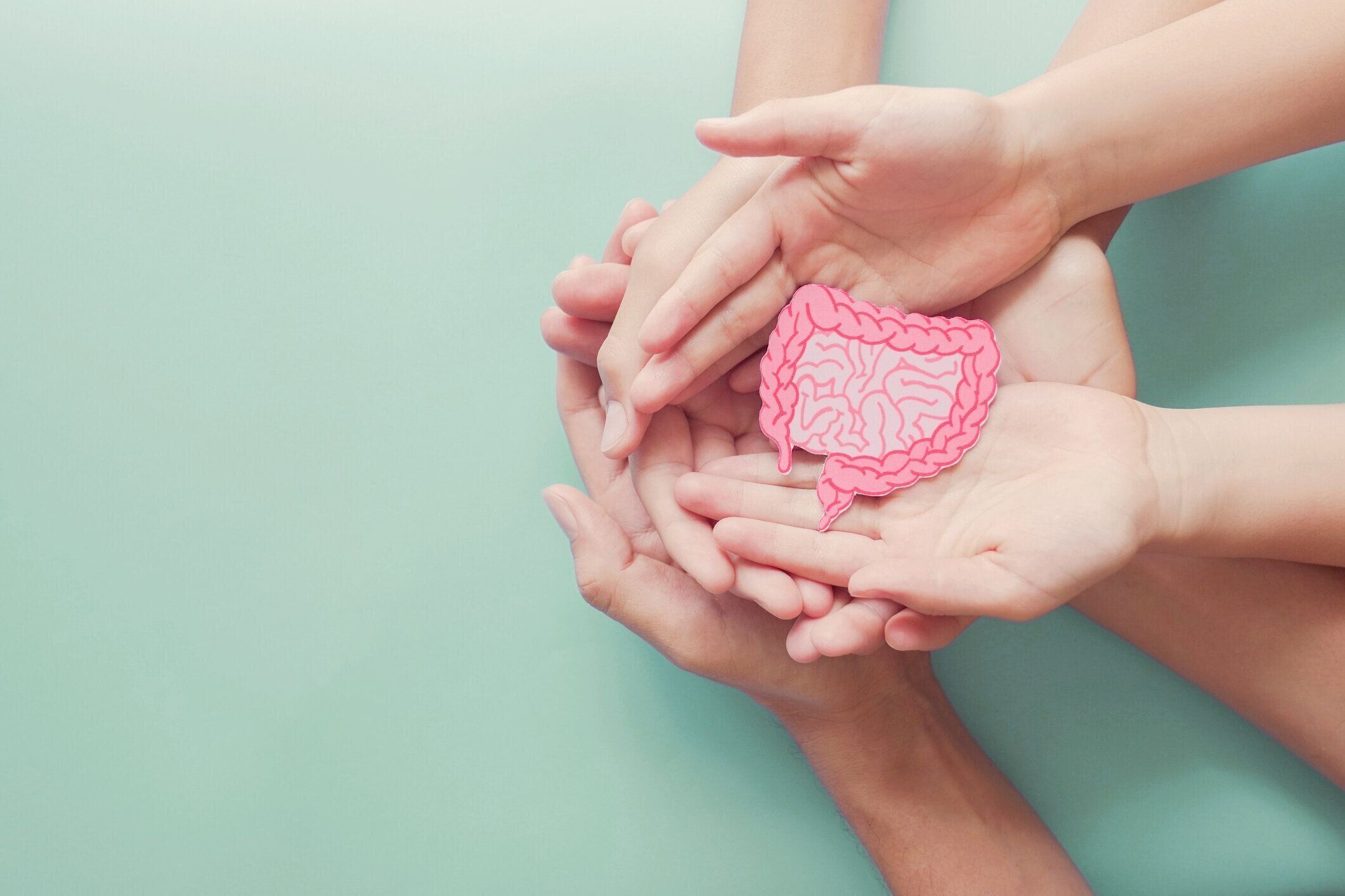 腸の形を保持する大人と子供の手, 健康な腸の破壊, 漏れ腸, プロバイオティクスと腸の健康のためのプレバイオティクス, 結腸, 胃, 胃癌の概念