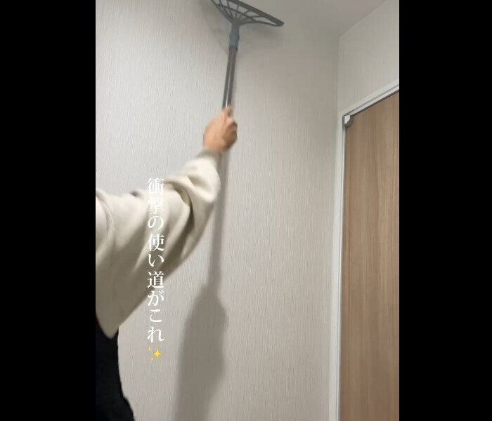 【ダイソー】使い道多すぎ！マルチ万能ほうき