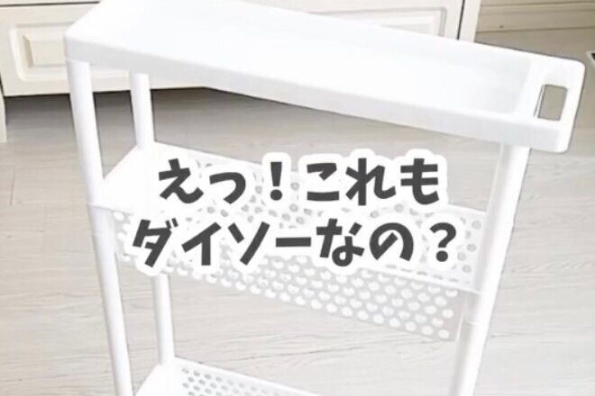 えっ！これもダイソーなの？【ダイソー】「完璧すぎて何も言えない」おすすめ収納用品2選