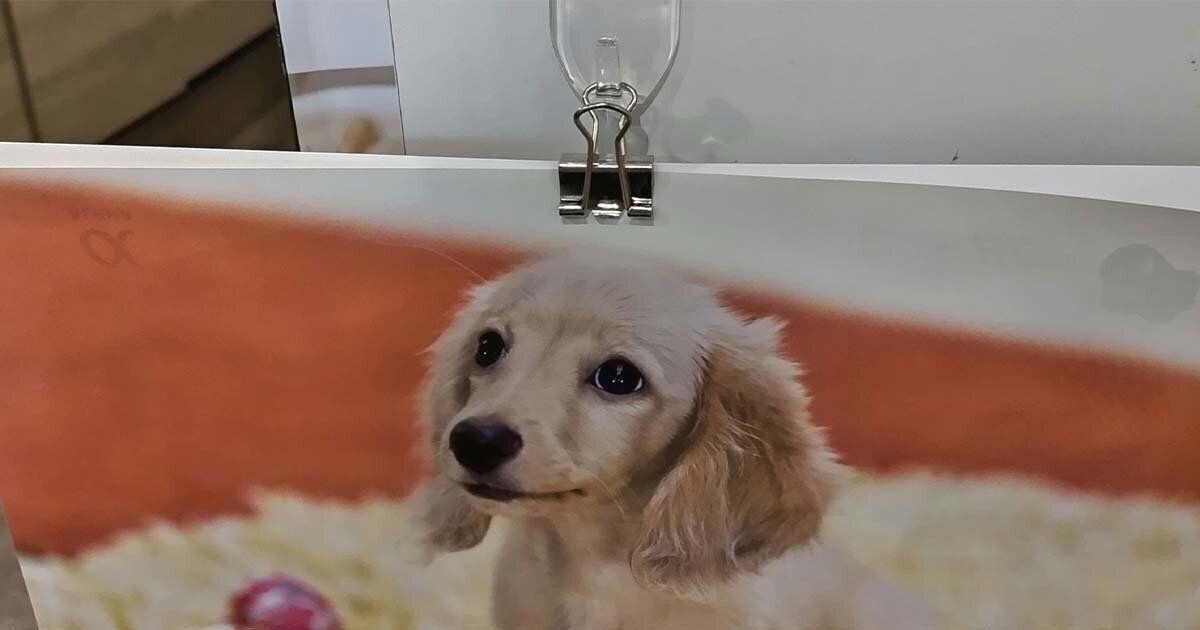 ダブルクリップに挟まれたカレンダー