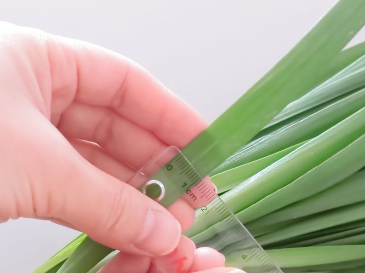 一番刈りは今だけのおいしさ