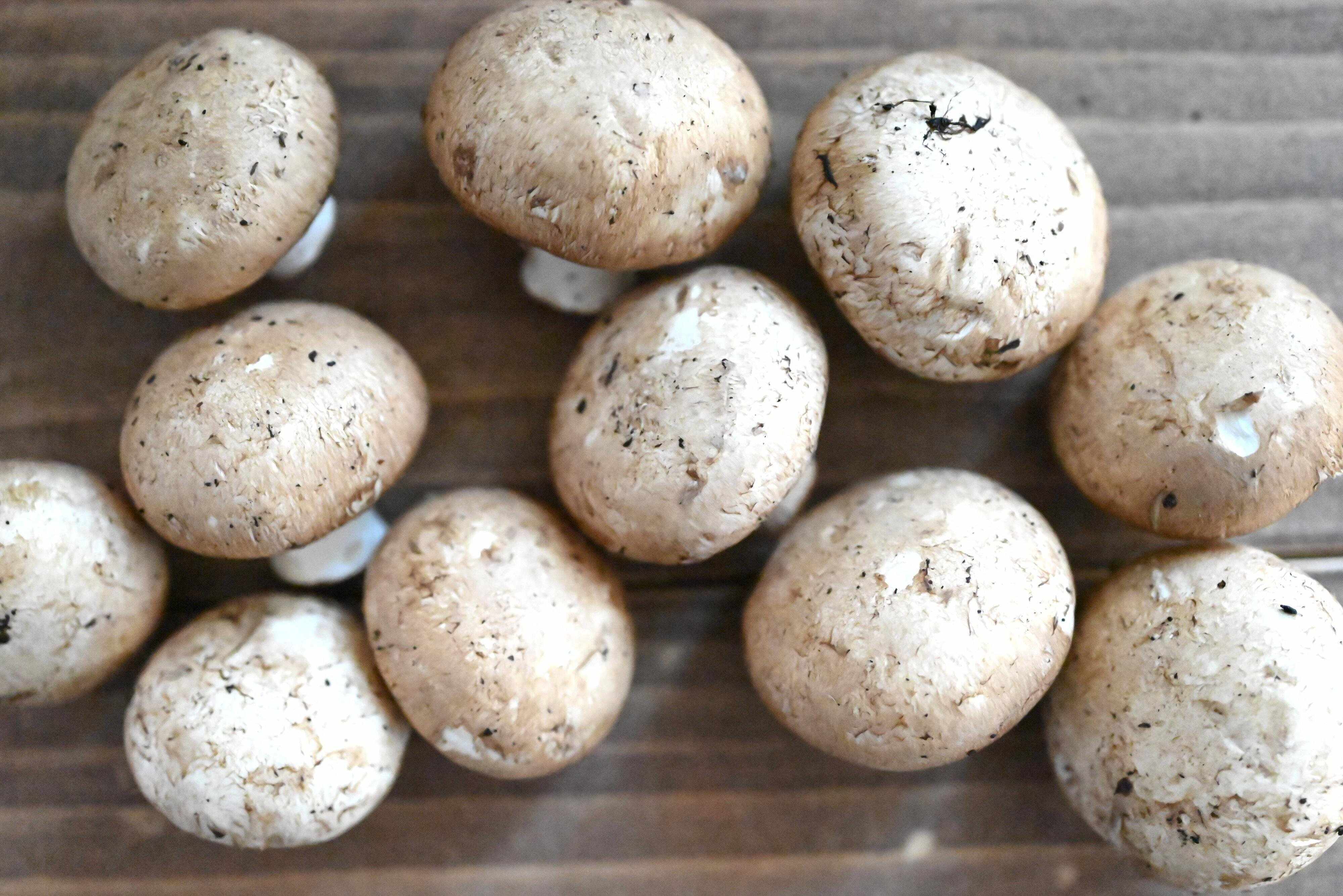 テーブルに並んだマッシュルーム