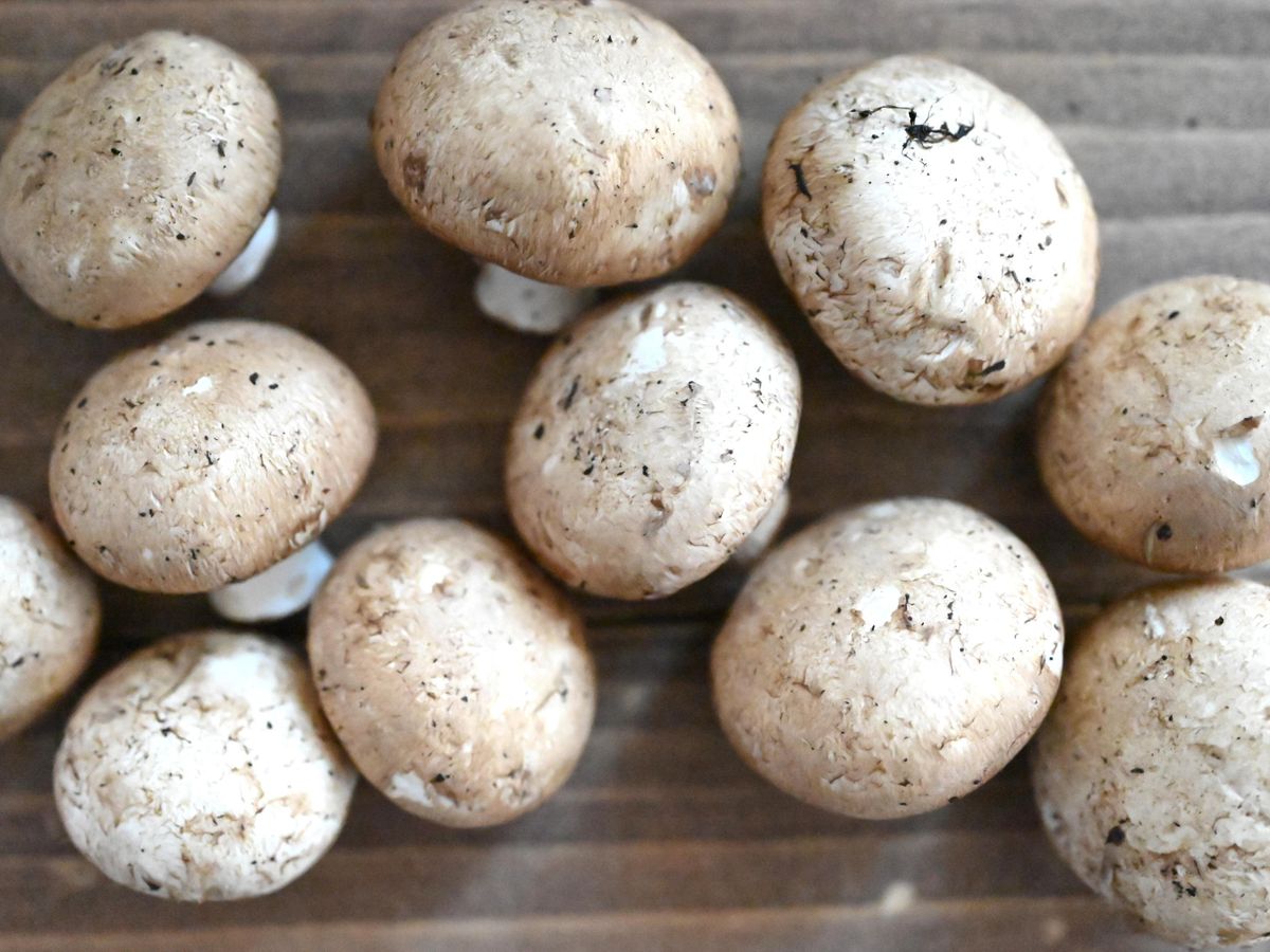 テーブルに並んだマッシュルーム