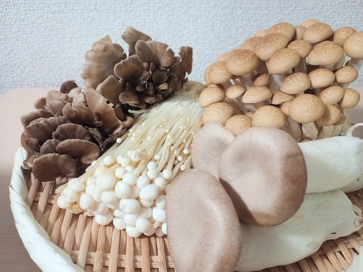 様々な種類のきのこ