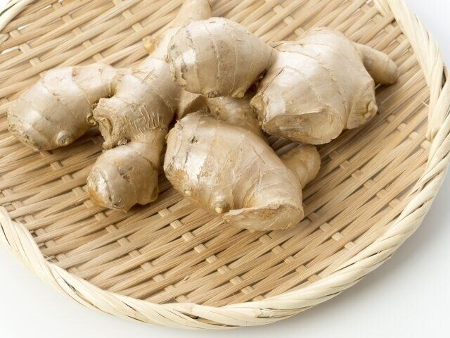 ショウガ