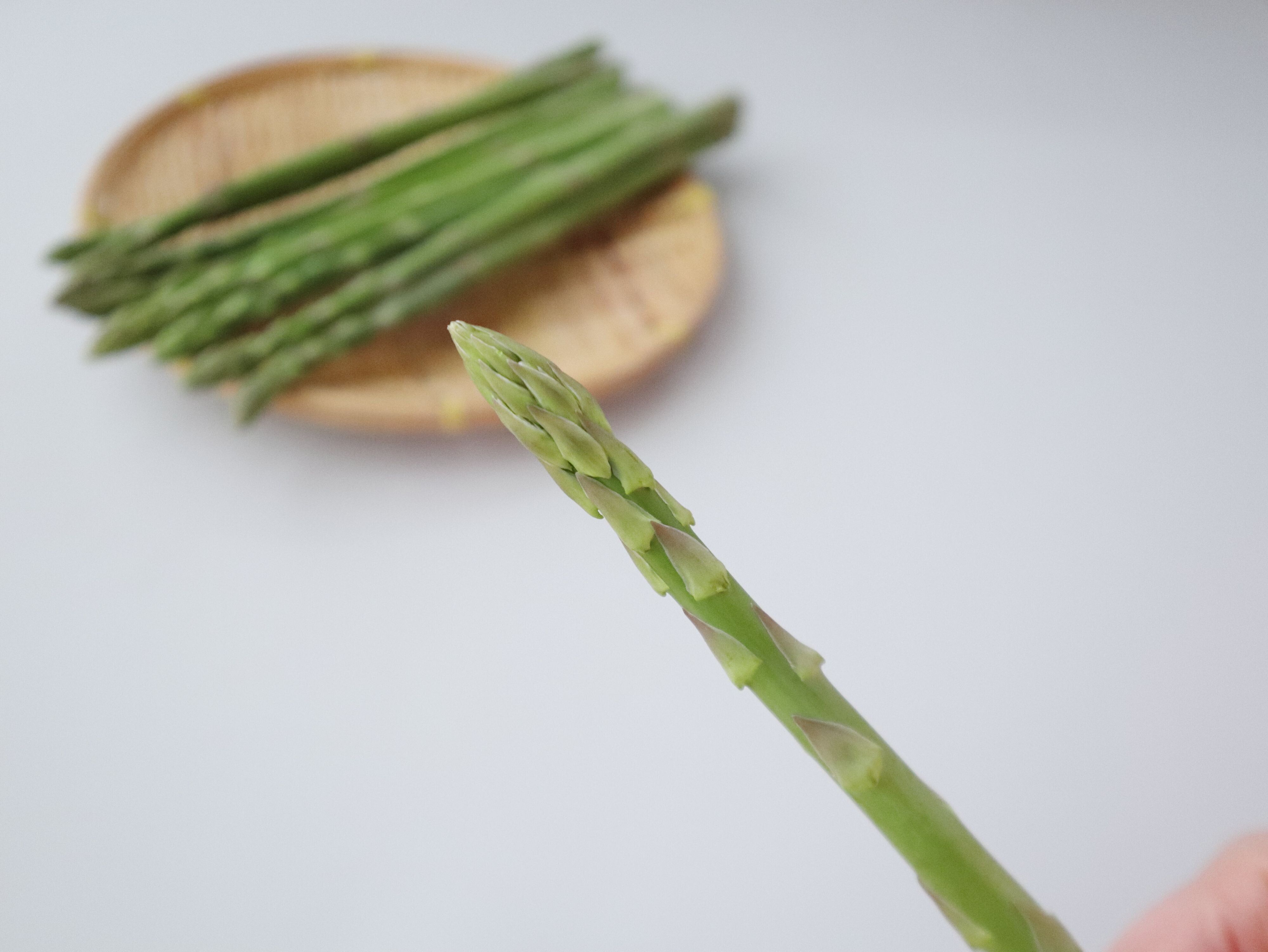 穂先がしまっている