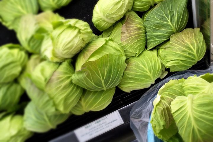 おいしいキャベツの見分け方は季節で違うって知ってた 失敗しないキャベツの選び方 買い方 サンキュ
